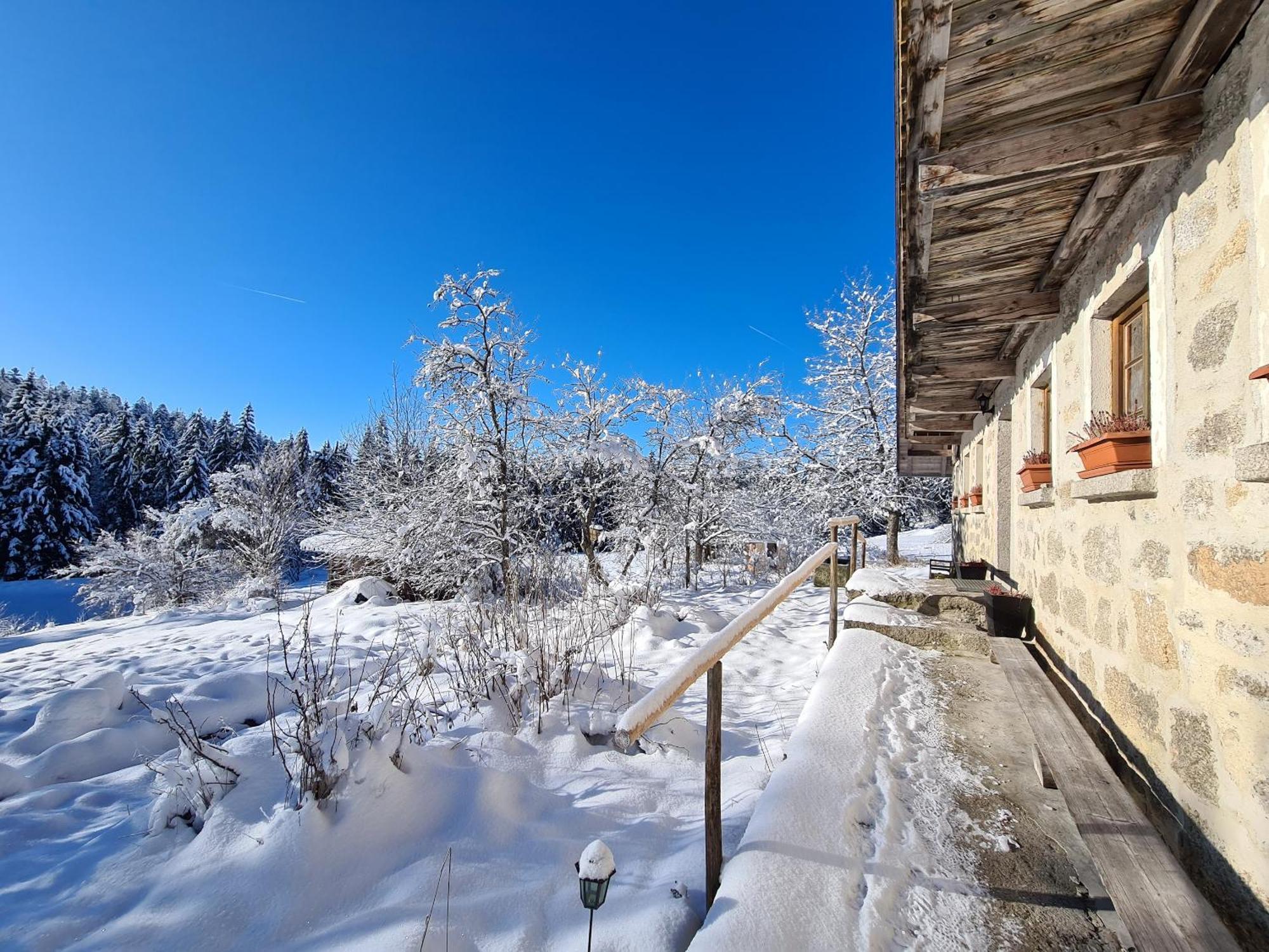 Ferienhaus Klause Нойрайхенау Экстерьер фото